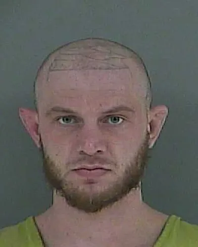 ADDISON SELVIDGE mugshot