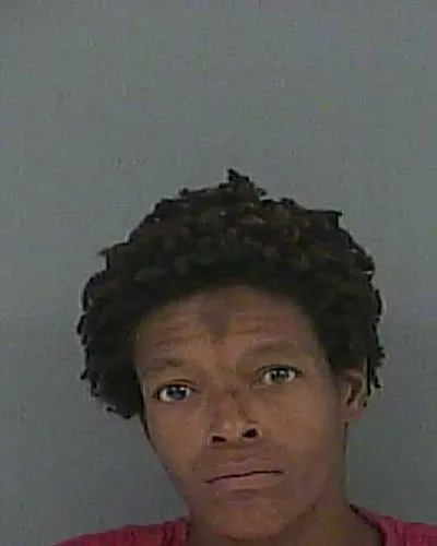 NORTEASHA ANDRUS mugshot