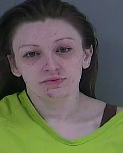 BREEANNA HILL mugshot