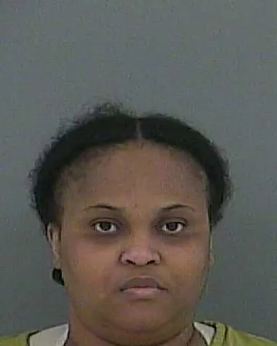 ASHLEY ROBINSON mugshot