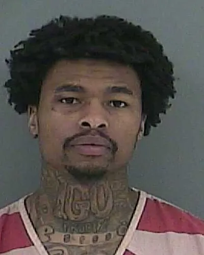 RONALD FELDER mugshot