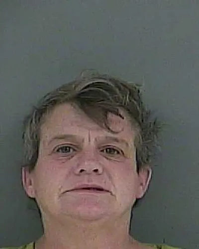 PAMELA YOUNG mugshot