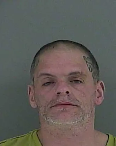 ADAM COLLINS mugshot