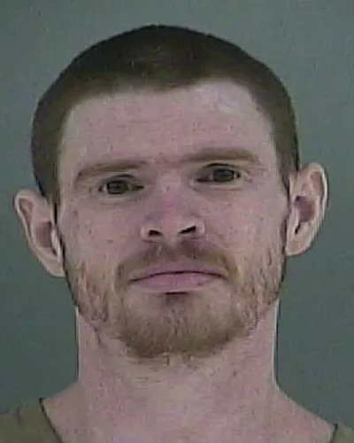 LOUIS GOODMAN mugshot