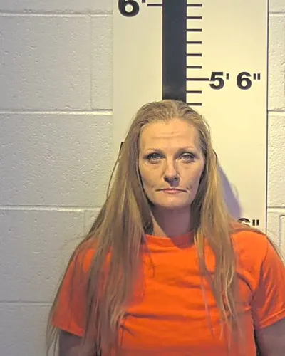 ANNA PAINTER mugshot