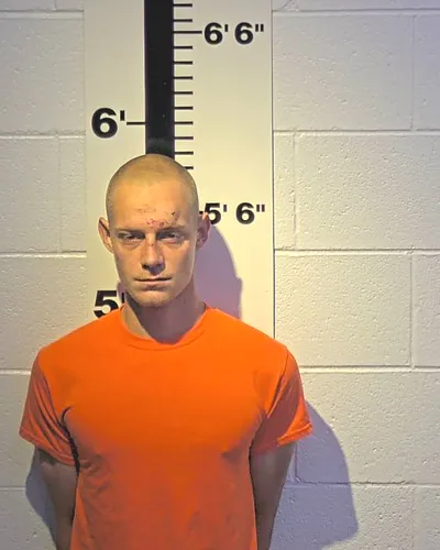 TROY COLLINS mugshot