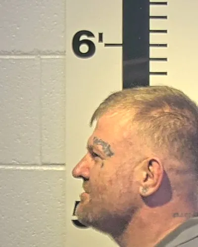 TRAVIS HODGES mugshot