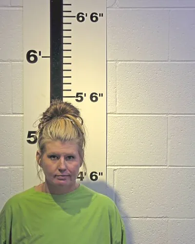 TINA PARKS mugshot