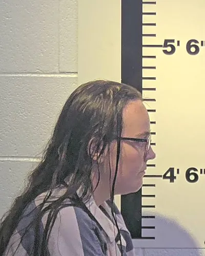 ALLISON LIPFIRD mugshot