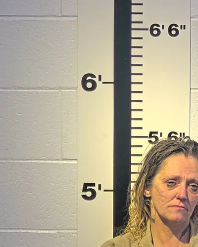 MAUDIE OWENS mugshot