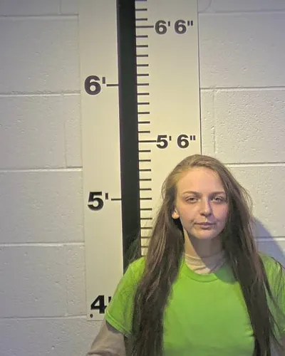 MARY LIPFIRD mugshot