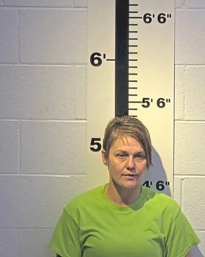 CYNTHIA BRANTLEY mugshot