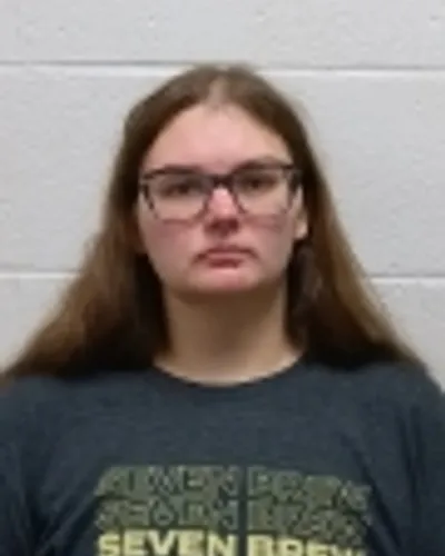 ASHLEY BARNES mugshot