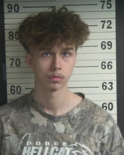 TALAN TREVATHAN mugshot