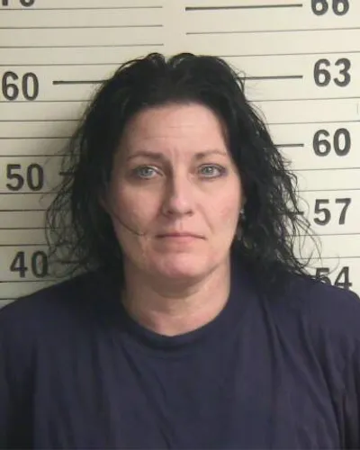 DANIELLE BRONSON mugshot