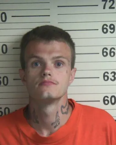 TYLER REYNOLDS mugshot