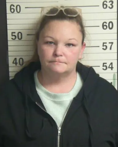 ANGELA BRADLEY mugshot