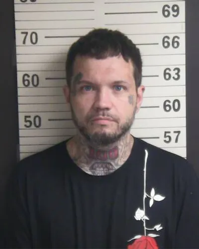 NICHOLAS DAVIS mugshot