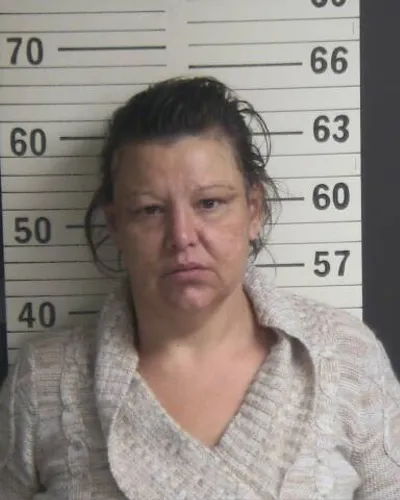 TERESA SHELTON mugshot
