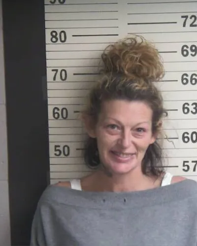 CRYSTAL MCDANIEL mugshot