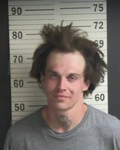 BRANDON LAWSON mugshot