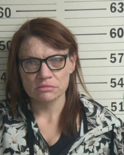 VICTORIA MANNING mugshot