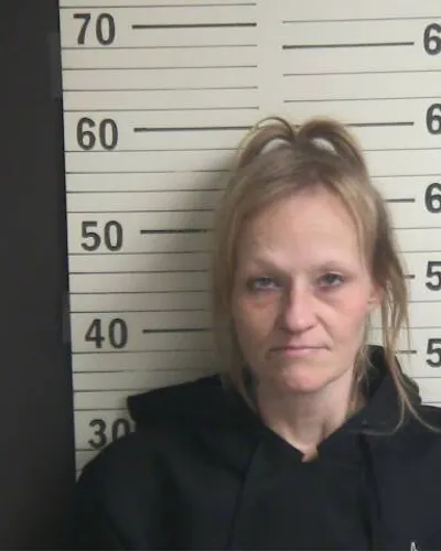 SHERI KING mugshot