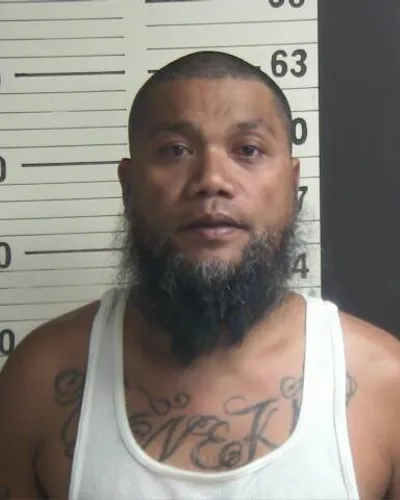 TEMERON SHIMY mugshot