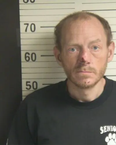 MICHAEL BANNER mugshot