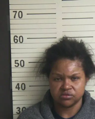 JOHNA ROGERS mugshot