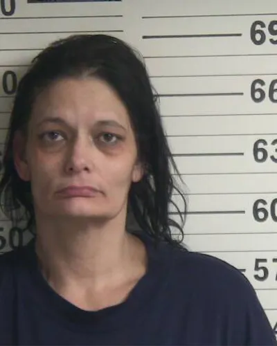 AMANDA CARPENTER mugshot