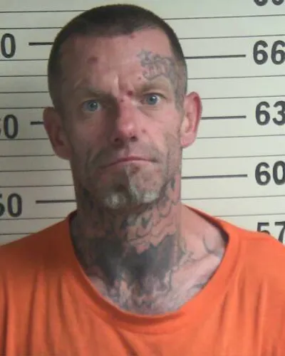 ANTHONY RAINES mugshot