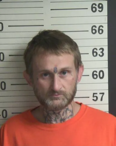 TONY THOMPSON mugshot