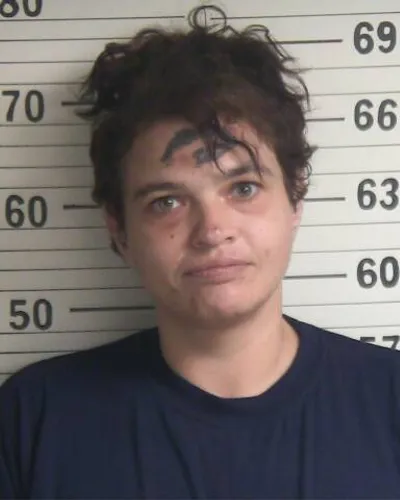 JOHNNIE LONG mugshot