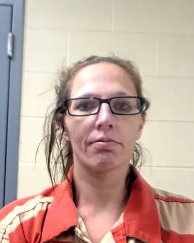 FELISHA LYNCH mugshot