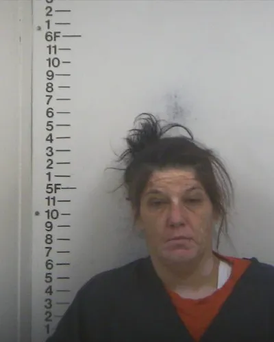 NATASHA JENKINS mugshot