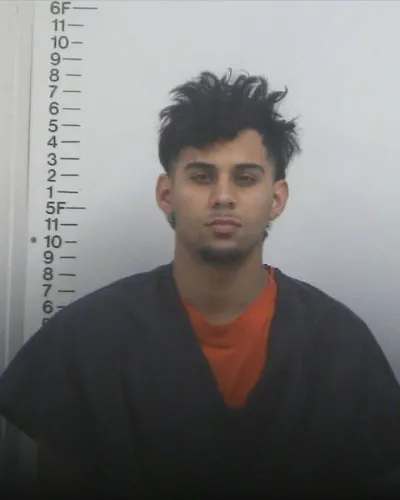 EDRIN FERRER mugshot