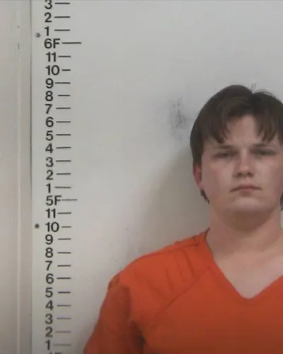 ROBERT OLSON mugshot