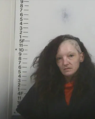 TRACY THOMASON mugshot