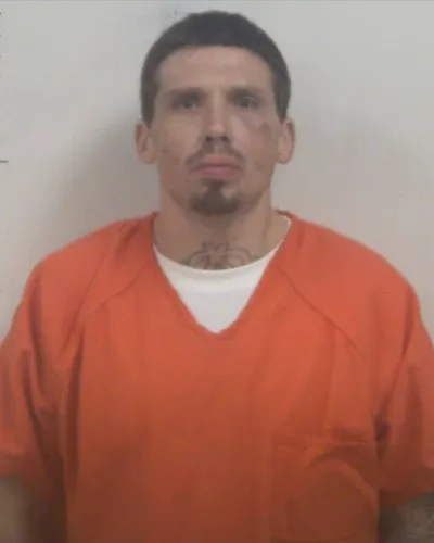 JAMES JOHNSON mugshot