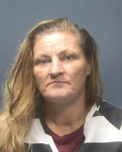 TERRI BALL mugshot