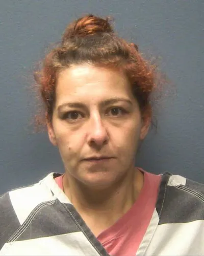 TOSHINA HILL mugshot