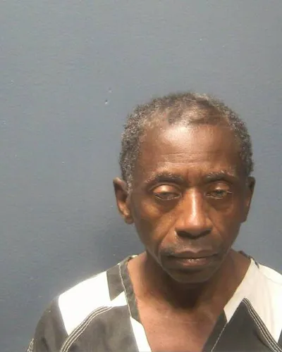 LEEVON TIMMONS mugshot