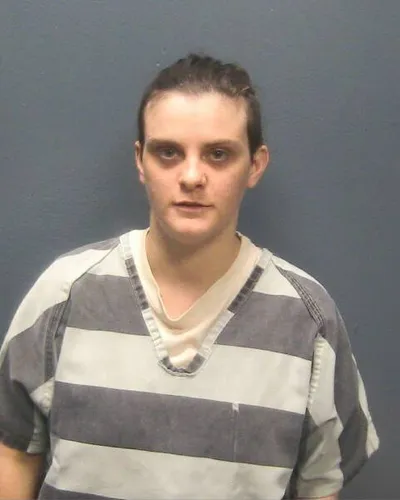 TOSHA HELTON mugshot