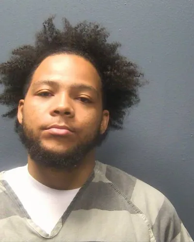 DARTANYAN HOLLINGSWORTH mugshot