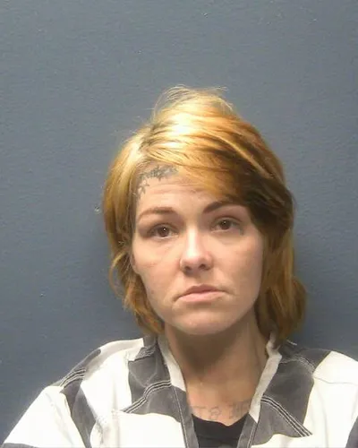 CAROLANN BURRIS mugshot