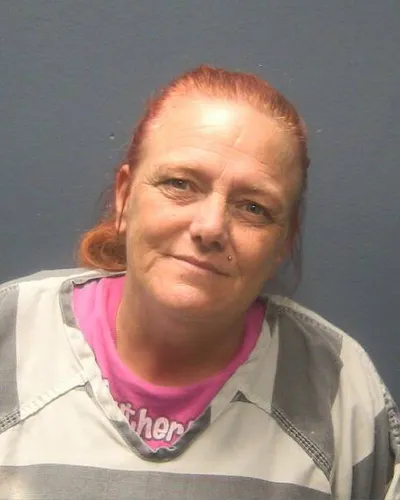 MANDY JOHNSON mugshot