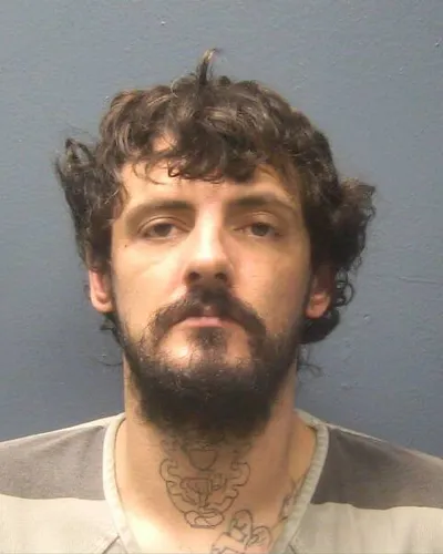 JERRY JOHNSON mugshot